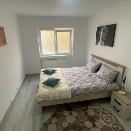 Apartment Dabic Remote And Fun 브라쇼브 외부 사진